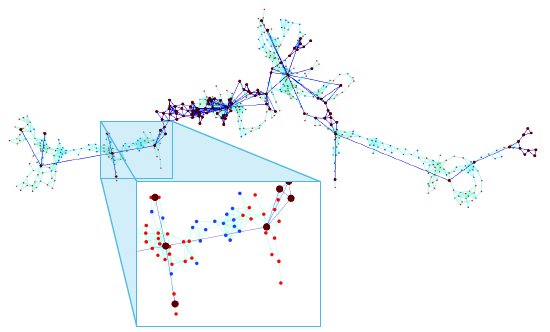 Image web summary graph