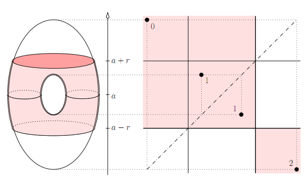 Torus robustness